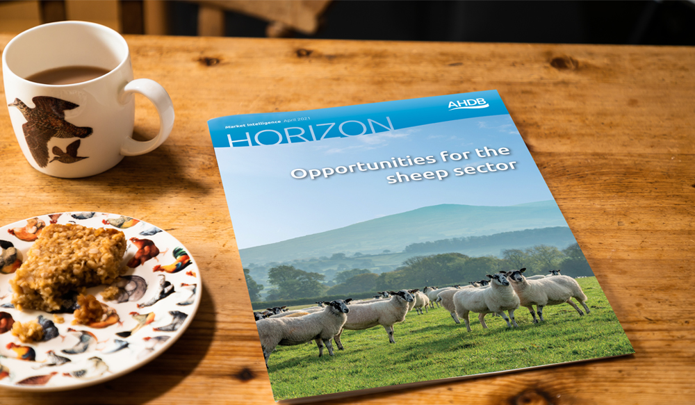 Horizon report - sheep